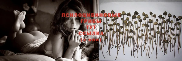винт Бронницы