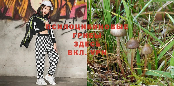 соль курить ск Бугульма